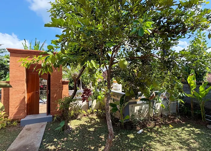 ゲストハウス Nusa House By Reccoma 3*